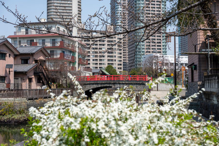 Spring scenery of Tsukishima and Tsukudajimaの写真素材