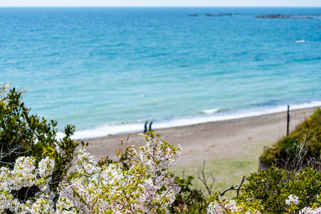 Coastal scenery in Hayama Town, Kanagawa Prefectureの写真素材