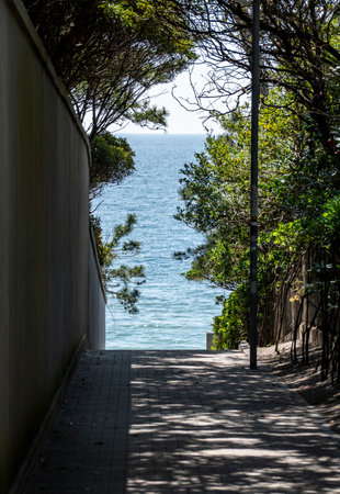 Coastal scenery in Hayama Town, Kanagawa Prefectureの写真素材