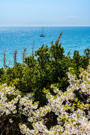 Coastal scenery in Hayama Town, Kanagawa Prefectureの写真素材