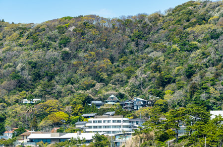 Scenery of the Hayama Sangaokayama Green Space in Hayama Town, Kanagawa Prefectureの写真素材