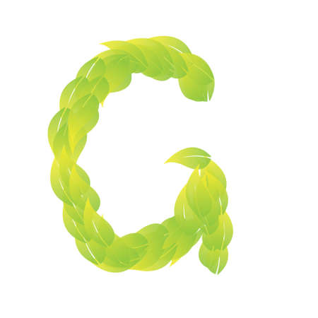 Green Leaves font. Vector illustration.Gのイラスト素材