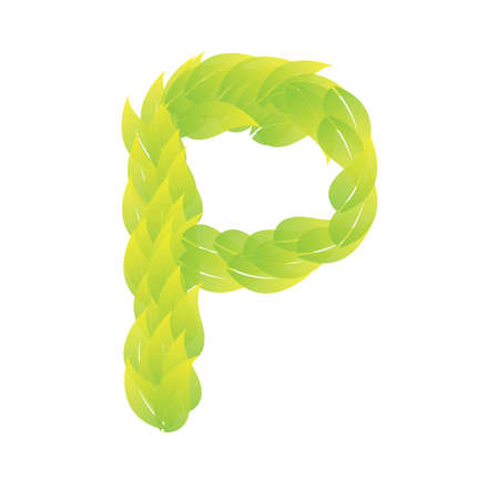 Green Leaves font. Vector illustration.Pのイラスト素材