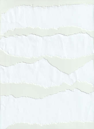 Torn paper edges on white background. Torn paper texture.の写真素材