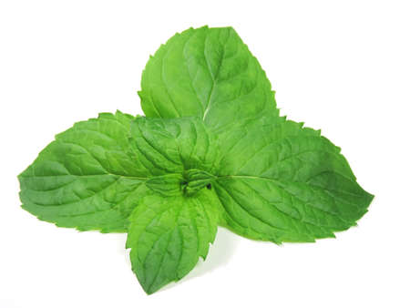 Peppermint leaves, isolated on white