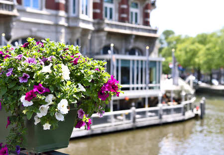Selective focus of flowers in a flower pot. Amsterdam city with a restaurant at the canal in the background.の写真素材