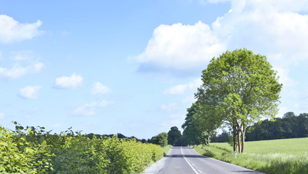 Panoramic view of a country road or highway in springtime. Summer scene with green trees and blue sky with fluffy clouds. Nature background.の写真素材