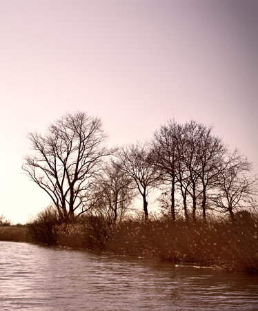 Winter scene at a river with bare trees and pupe light, toned image.の写真素材