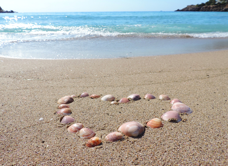 Sea shell on the beach heart, love symbol made of shells.の写真素材