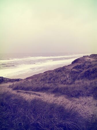 Beach scene with beach footpath through dunes.の写真素材