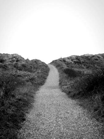 Lonely footpath through a beach dune landscape on Sylt.の写真素材