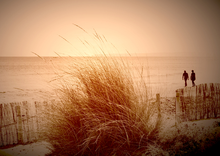 couple on a beach walk in the dusk. People walking along the beach in the twilight after the sunset.の写真素材