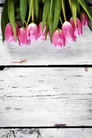 Flower bouquet of pink tulips on a white table or wooden planks. Spring background with copy space and pink spring flowers.の写真素材