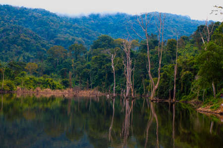 The reservoir community at weangkan chaingrai in Thailand.のeditorial素材