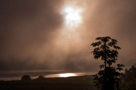 Morning fog at the river.の写真素材