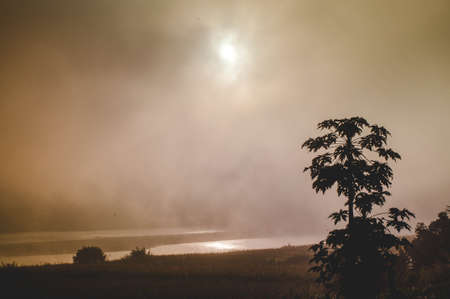 Morning fog at the river.の写真素材