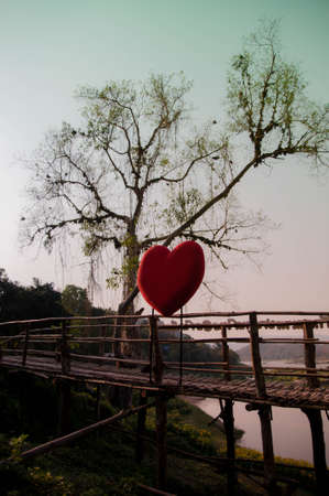Red heart with a background of trees.の写真素材