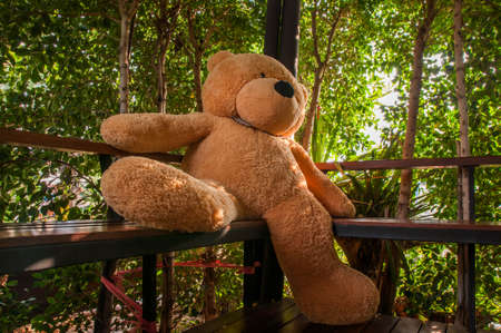 toy teddy bear on the seat.の写真素材