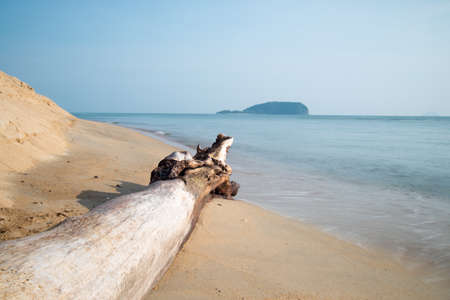 Dead tree on the beach point to islandの写真素材