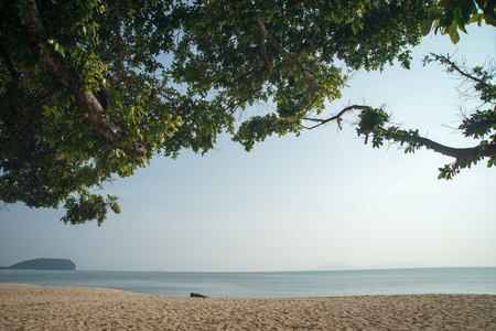 Stay calm under the treeの写真素材