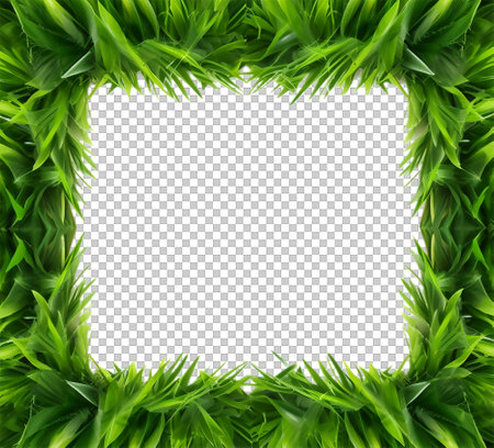 green grass leaf frame, isolated on transparent backgroundの素材