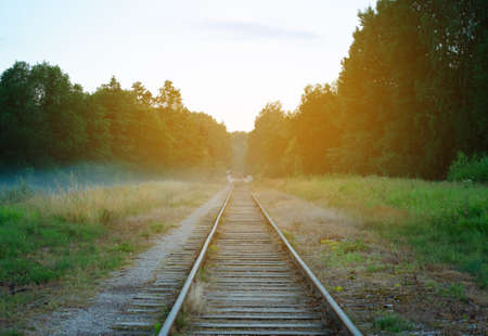 Railroad tracks in the evening.の写真素材