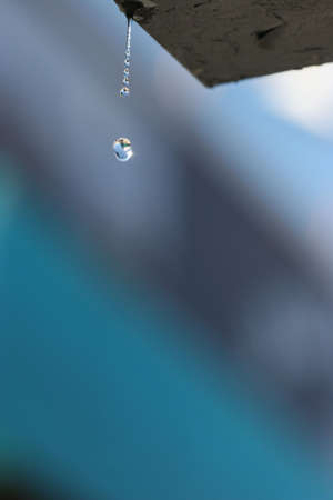 drip of thawing snowの写真素材