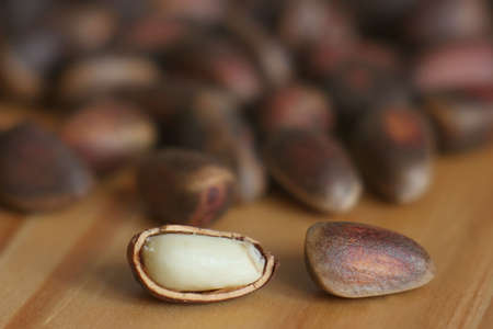 pine nutsの写真素材