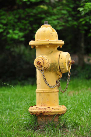 Residential yellow fire hydrant in an American neighborhoodの写真素材