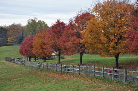 Fence and farm fields in western North Carolina