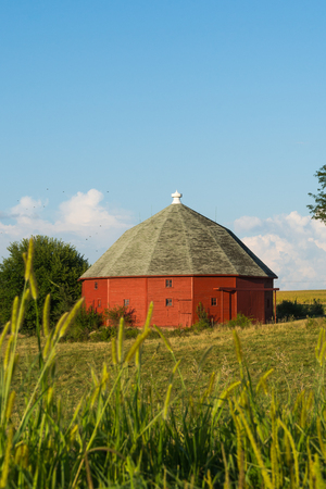 Red round barn through the tall grass on a Summer afternoon.  LaSalle County, Illinois, USAの写真素材