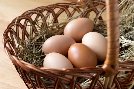Organic fresh chicken eggs in the wicker basket on hay. Farm products, eco friendly food production. Close up.の写真素材