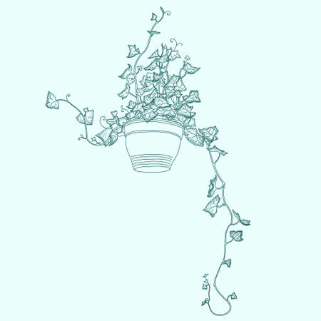 Drawing of green ivy in flowerpot. Abstract vector clipartのイラスト素材