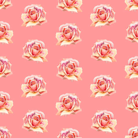Watercolor roses. Seamless wallpaper floral pattern. Used for backgrounds, wallpapers, textileの写真素材