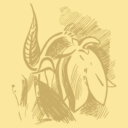 Bluebell flower graphic illustration. Campanula drawing. Harebell vector eps. Hand drawn ink.のイラスト素材