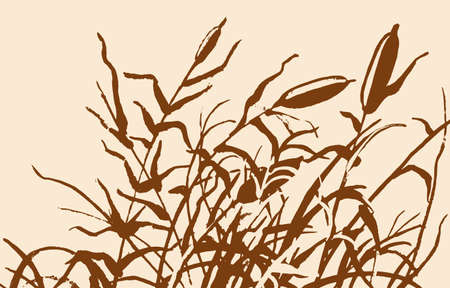Reed vector illustration. Gravure rush vector drawing.のイラスト素材