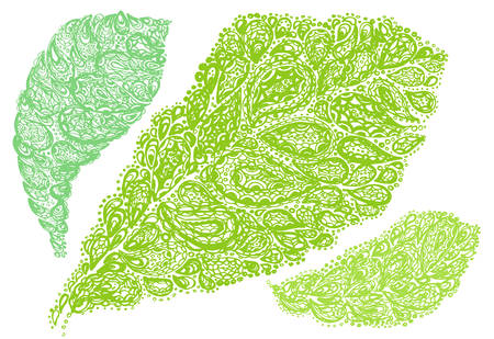 Croton leaf illustration in paisley style. Codiaeum plant. Jungle tropical tree. Nature drawing.のイラスト素材