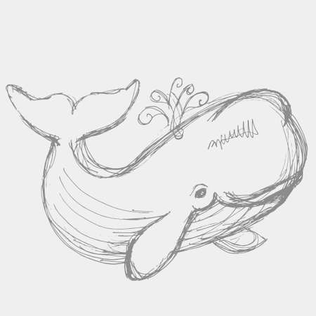 The whale drawing. Hand drawn illustration with whale. Animal in the sea and ocean.のイラスト素材