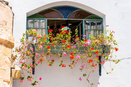 Safed, Israel - May 20, 2012: Decorated with blooming flowers and birds colorful stained glass window in Old Town of Safed, Israelのeditorial素材