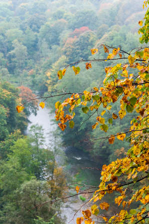 Fall season or Indian summer in National Park forestの写真素材