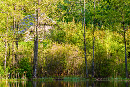 Abandoned obsolete rural wooden house on lake coast. Small wooden house ruins in rural abandoned Lithuanian village.の写真素材