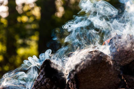 Burning firewood makes various smoke scroll shapes