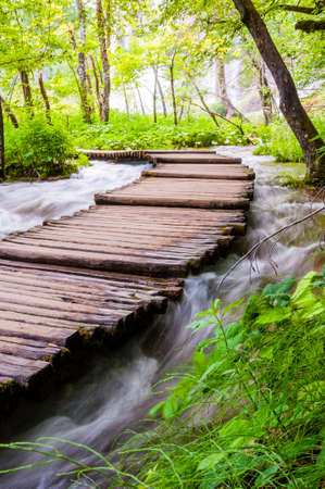 Plitvice Lakes National Park is one of the oldest and the largest national park in Croatia.の写真素材