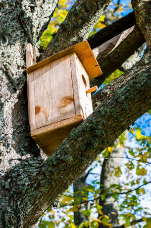 Birdhouses like this one you can find a lot in Lithuania. Lithuanian people love nature, fauna and...