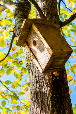 Birdhouses like this one you can find a lot in Lithuania. Lithuanian people love nature, fauna and flora. They care about harmony between human and nature.の写真素材