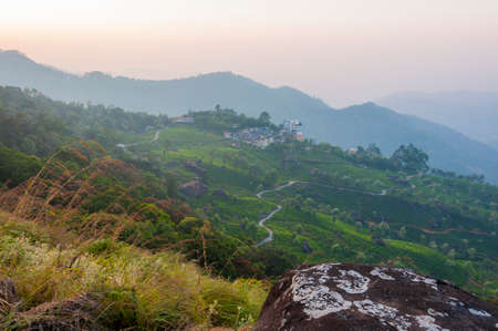 A fog covers high emerald jungles, velvet carpet of the tea plantations stretches to the horizon,...