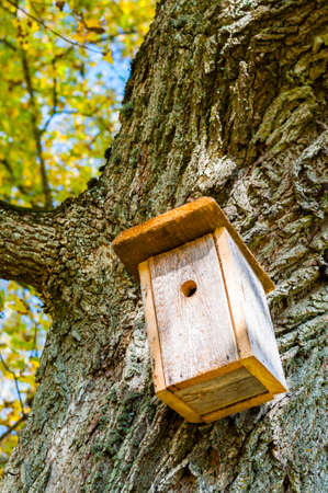 Birdhouses like this one you can find a lot in Lithuania. Lithuanian people love nature, fauna and flora. They care about harmony between human and nature.の写真素材