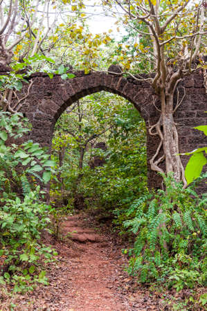 Here you can see the ancient overgrown stone arc in the middle of jungles as a part of a huge ruined Portugal fort complex.の写真素材