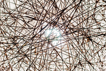 Light source glowing through a white textile wicker ball frame