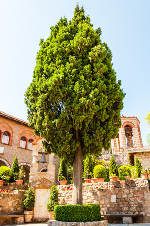 Meteora, Greece - June 16, 2013: Growing high pine tree inside the courtyard of the Great Meteoron Monastery full of flowers, plants, small belfries and medieval facadesのeditorial素材